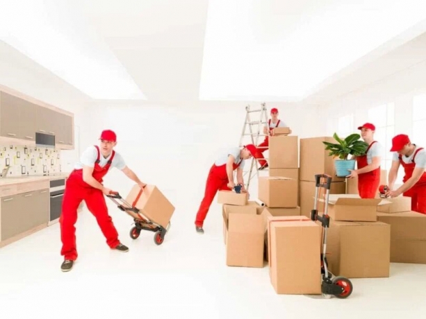 How Do Local Moving Companies Offer Personalized Services for Your Move?