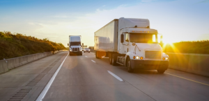 Local and Long-Distance Movers: Comparing Key Differences