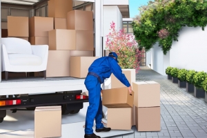 How Can an Affordable Moving Company Tailor Services to Fit Your Budget and Needs?